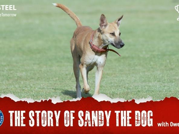 The story of the Men of Steel's lil' doggo, Sandy.